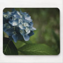 Suche nach hydrangea mousepads Natur