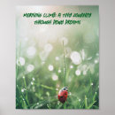 Suche nach ladybug poster Naturfotografie