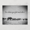 Suche nach generationen postkarten Familie