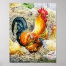 Suche nach bunte federn poster Bauernhof