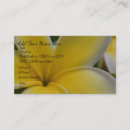 Recherche de frangipani cartes visite Hawaïen