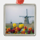 Recherche de tulipe hollande ornements Coloré