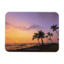 Recherche de tranquille magnets Palmier