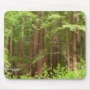 Recherche de monument national tapis souris Nature