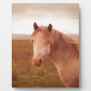 Suche nach wild fotoplatten Landschaft