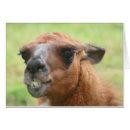 Recherche de fâcher cartes postales Animal