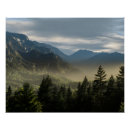 Suche nach immergrüne poster Naturfotografie