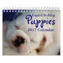 Recherche de bouledogue bureau fournitures Animaux familiers