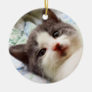 Suche nach kätzchen ornamente Katze