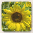Suche nach sunflower untersetzer Zuhause