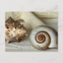 Recherche de plage de coquillages cartes postales Sable