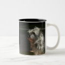 Recherche de cairns tasses Chien