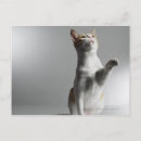Suche nach agility poster Haustiere