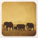 Suche nach afrikanische tiere untersetzer Kalb