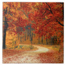 Recherche de saisonnier carreaux Automne