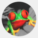 Recherche de yeux rouges autocollants Grenouille