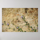 Suche nach wildnis poster Landschaft
