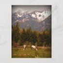 Suche nach wunsch postkarten Landschaft