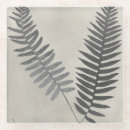 Suche nach farn untersetzer Botanisch