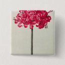 Suche nach narzissen buttons Blüte