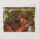 Recherche de coffre fort cartes postales Pour tous