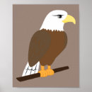 Recherche de aves posters Faune