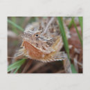 Recherche de corné cartes postales Lézard