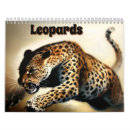 Recherche de leopard calendriers Chat