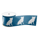 Recherche de pitbulls rubans Dog