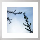 Suche nach die natur poster Bäume