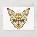 Recherche de visage de crâne cartes postales Chat