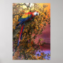 Recherche de perroquet tropical posters Macaw