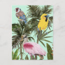 Recherche de la jungle cartes postales Feuilles de palmiers