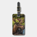 Recherche de orignaux de taureau accessoires Orignal