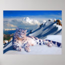 Recherche de toits posters Neige