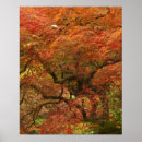 Suche nach acer poster Herbst