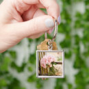 Suche nach gartenbank Pflanze