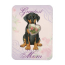 Recherche de dobx magnets Doberman pinscher