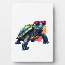 Suche nach schildkröten fotoplatten Strand