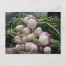 Recherche de radiateur cartes postales Nourriture