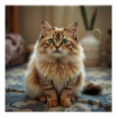 Suche nach persian poster Lustig