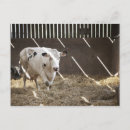 Suche nach milchkuh poster Horizontal