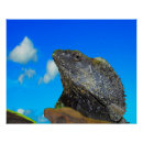 Recherche de lézards posters Faune