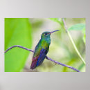 Recherche de biologie posters Violet