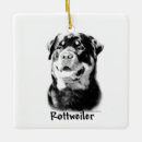 Recherche de rottweiler ornements Dog