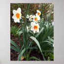 Recherche de fleurs fraîches posters Pour tous