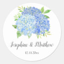 Suche nach sommer hydrangeas Aquarell