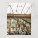 Recherche de histoire naturelle cartes postales Photographie