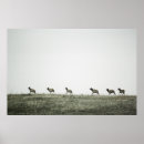 Suche nach elk poster Landschaft