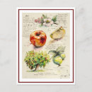 Recherche de peinture de pomme cartes postales Rouge